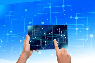 九游网页版官网入口-中国篮球教练员专业能力提升路径，篮球教练员的专业技能包括哪些方面